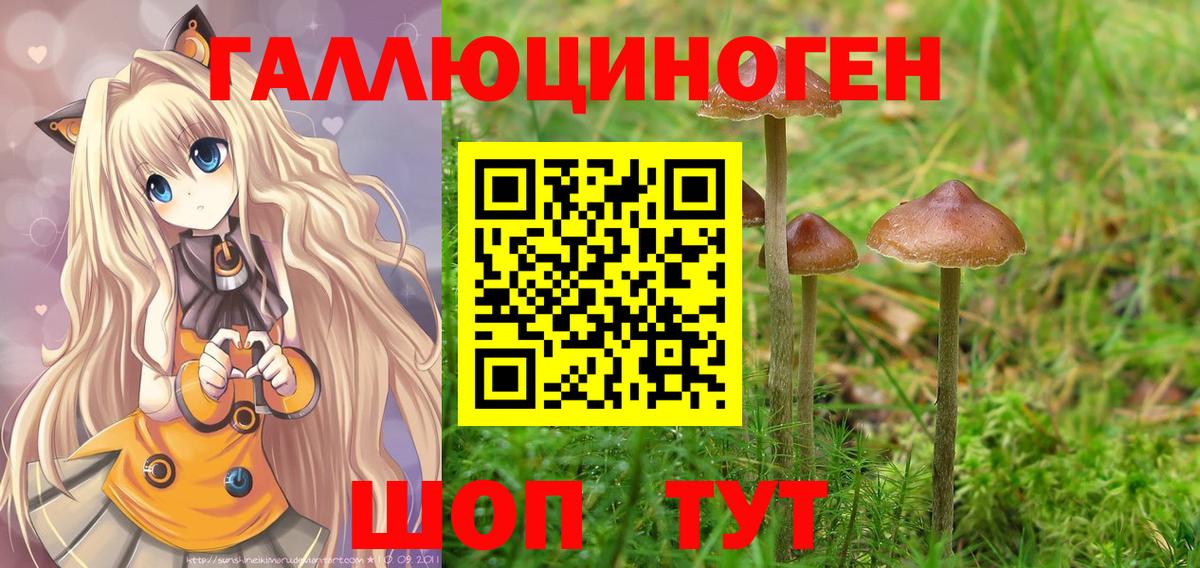 Орск  Галлюциногенные грибы мухоморы  Вход с VPN 